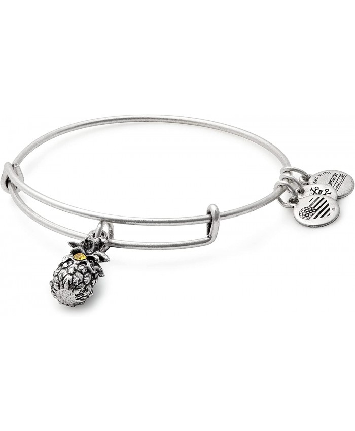Alex and Ani Path of Symbols Expandable Bangle for Women Pineapple Charm Rafaelian Silver Finish 2 to 3.5 in