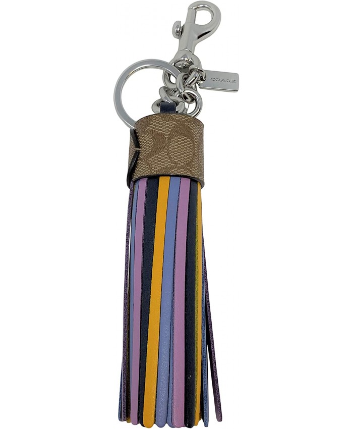 Coach Colorblock Tassel Bag Charm in Signature Canvas Style No. 5102 at  Women’s Clothing store