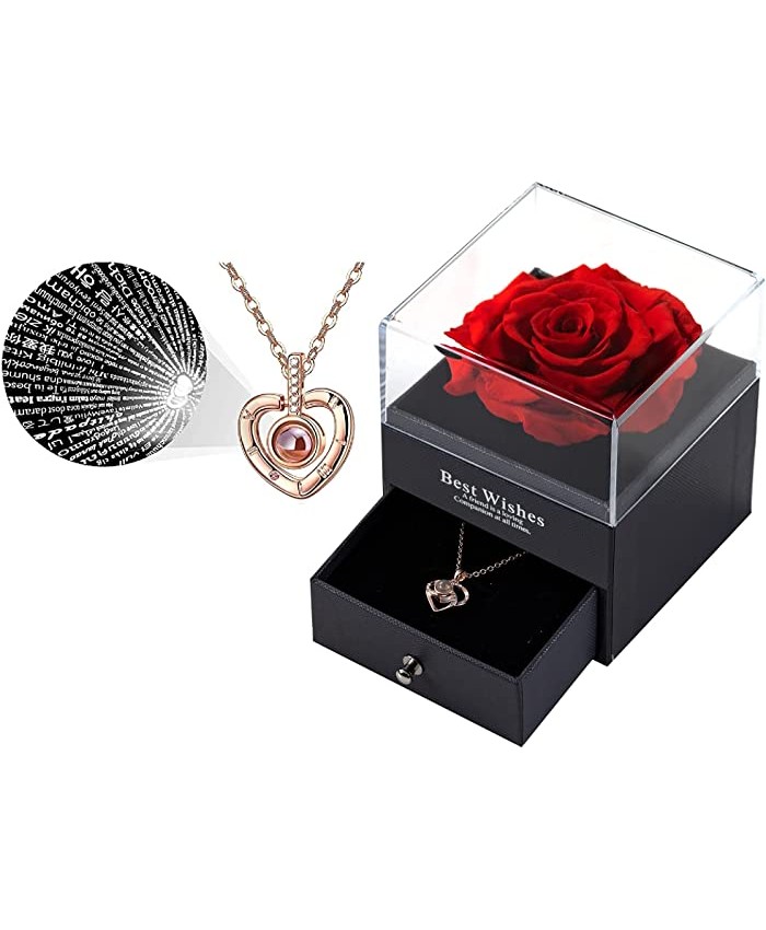 Preserved Real Rose with Necklace Gift Set Enchanted Real Rose Eternal Rose Flower for Mom Girlfriend Wife on Valentine's Day Birthday Mother's Day Gold-Tone Swirl Love Necklace