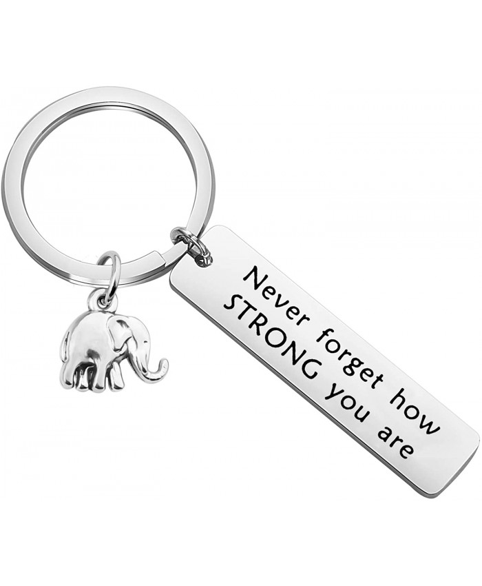 bobauna Elephant Keychain Don't Forget How Strong You are Strength Jewelry Uplifting Gift for Friend Family Animal Lovers Never Forget Keychain
